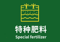 山西地沃肥業(yè)有限公司